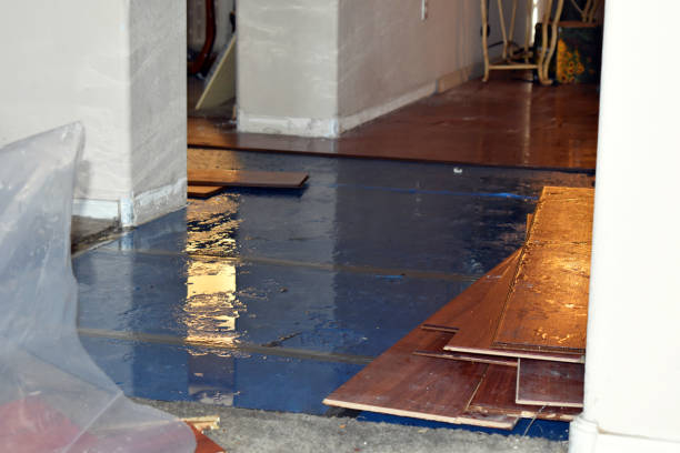 Professional Water Damage Restoration technician working in Newton, NC
