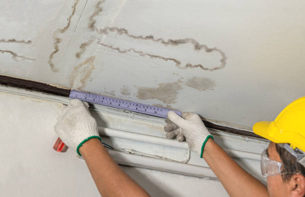 Reliable Water Damage Restoration contractor in Newton, NC by Local Water Damage Repair